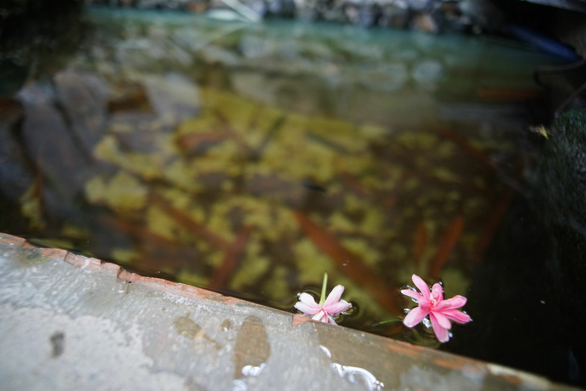 Mina Le Villa Hội An Buitenkant foto